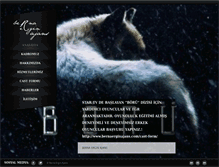 Tablet Screenshot of bernaerginajans.com